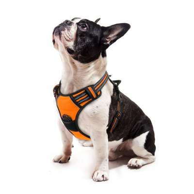 Manufacturer Wholesale Oxford Reflective No Pull Dog Harness Reversible Dog Harness With Soft Pads